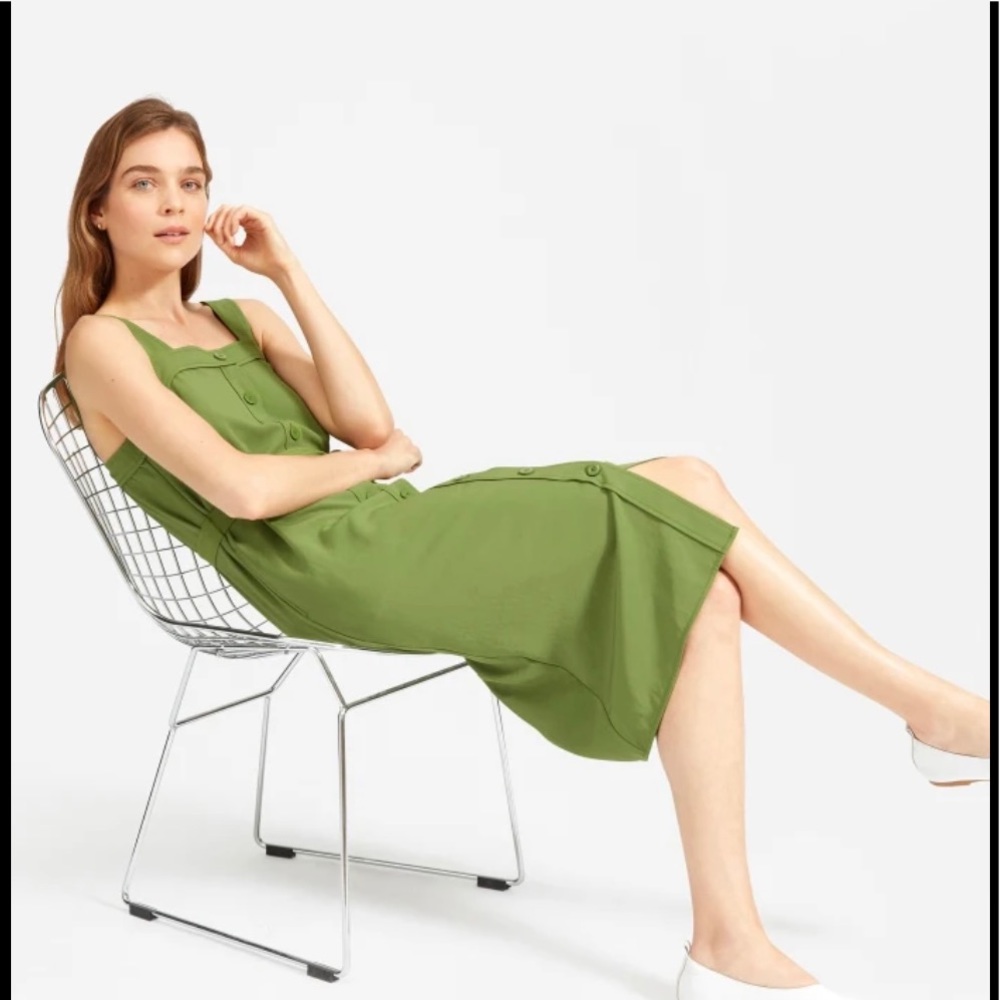 Everlane dress